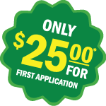 Only $25 For First Application