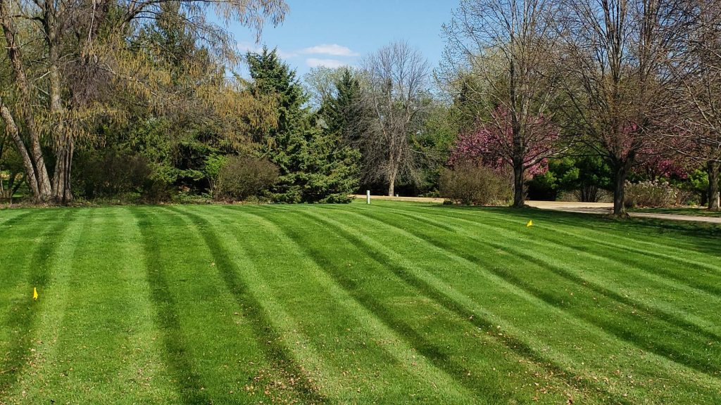 A neatly mowed lawn with visible mowing stripes, surrounded by trees with some budding leaves and patches of blue sky above. Small yellow flags, often used for pest control in landscape design, are placed on the grass.