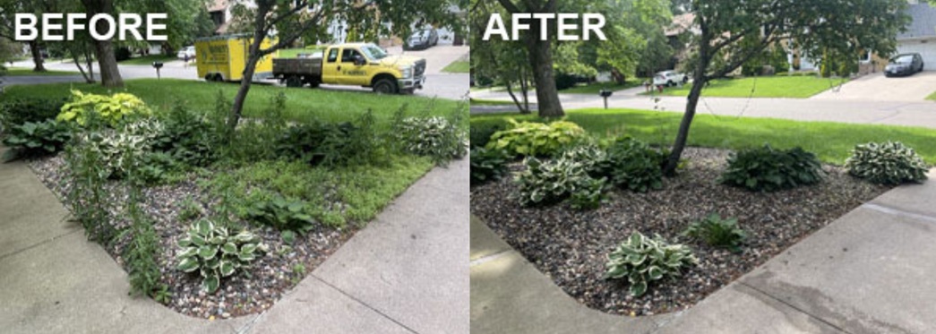 Side-by-side photos show a garden before and after cleanup. The “Before” image has overgrown weeds; the “After” image shows neatly trimmed plants with tidy rock mulch, and the yellow truck remains in the background.