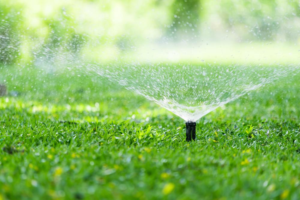 Sprinkler installation