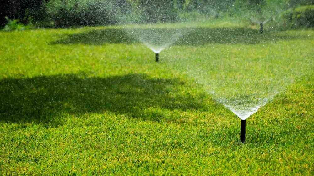 yard and lawn maintenance