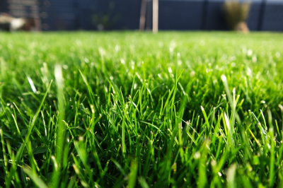 grass mowing service near me