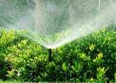Twin Cities Irrigation