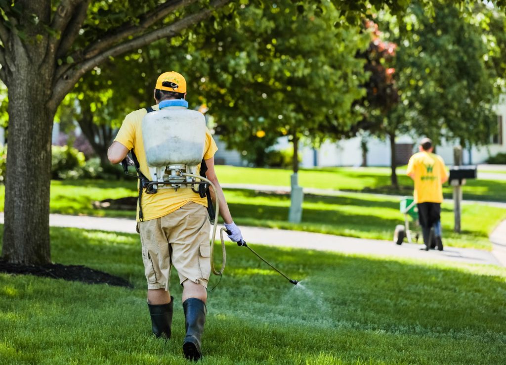 A worker in yellow sprays chemicals on a grassy lawn using a backpack sprayer, maintaining the landscaping. Another worker in yellow is seen in the background on a sunny day, surrounded by trees and lush green grass.