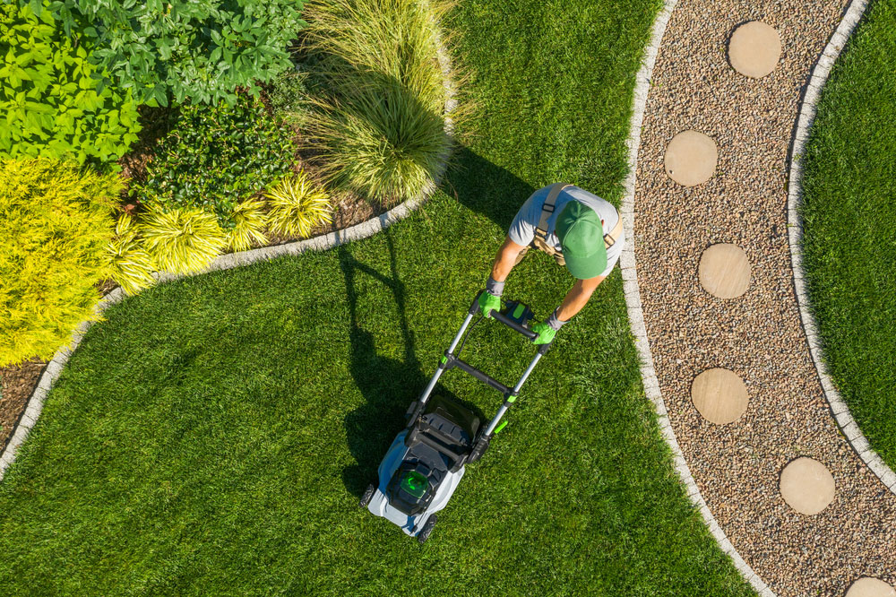 An aerial view of a person in a green hat mowing a vibrant green lawn with a cordless mower, bordered by colorful shrubs and a gravel path—perfectly maintained with help from local yard services.