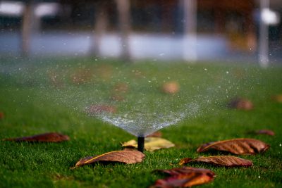 A sprinkler sprays water over a green lawn scattered with brown fallen leaves, highlighting professional landscaping, with a blurred background.